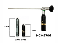 Mini endoscope light