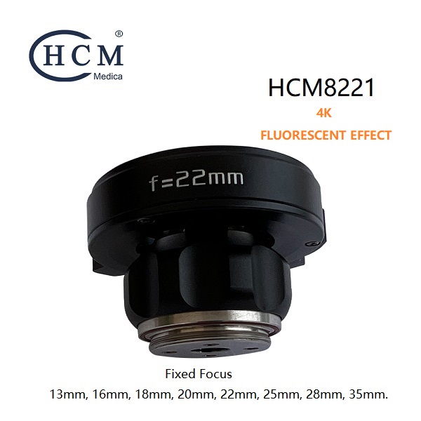 HCM8221.jpg