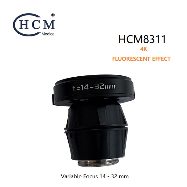 HCM8311.jpg